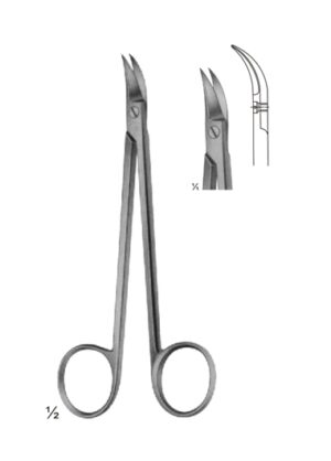 Delicate Scissors