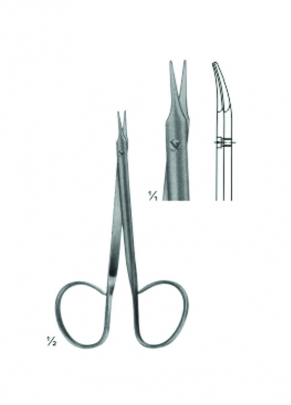 Surgical Scissors