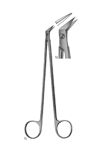 Vessel Scissors