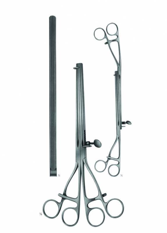 Intestinal Clamps