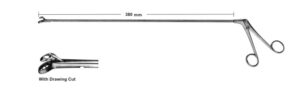 Biopsy forceps for rectum