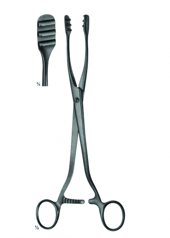 Uterine Elevating Forceps