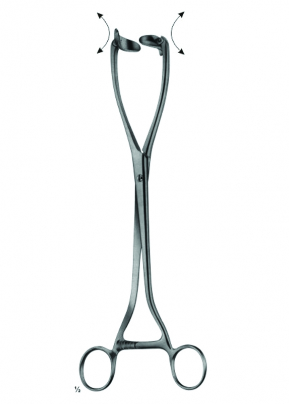Uterine Elevating Forceps