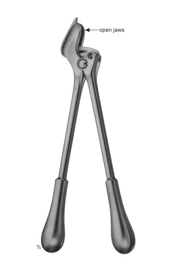 Plaster Shears