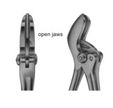 Plaster Shears