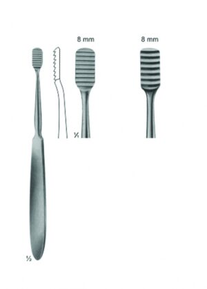 Bone File and Rasps