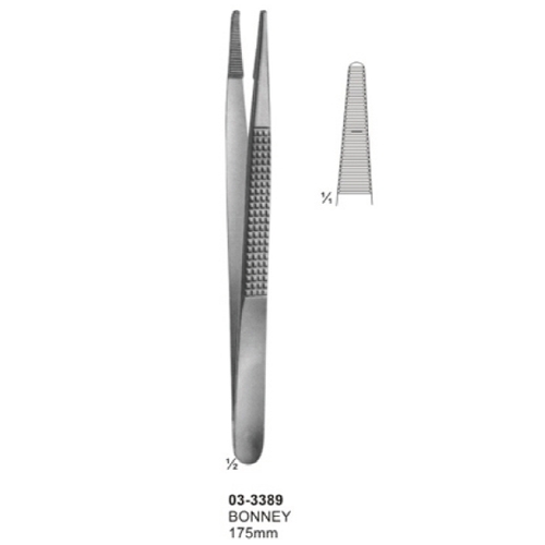Dissecting Forceps