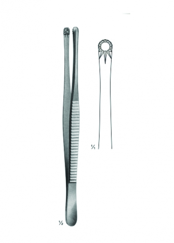 Tissue Forceps, Lung Dissecting Forceps, Intestinal Forceps