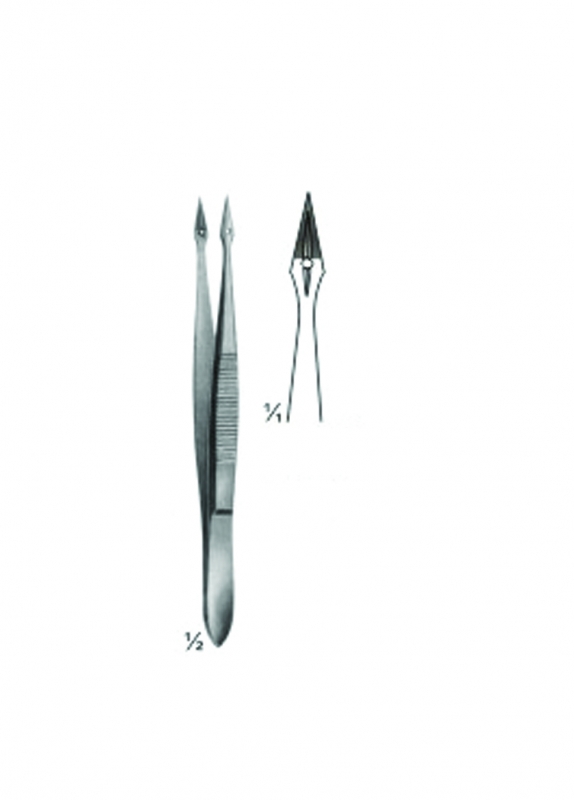 Splinter and Cilia Forceps