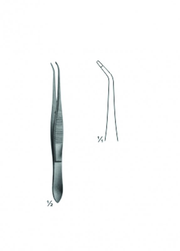 Splinter and Cilia Forceps
