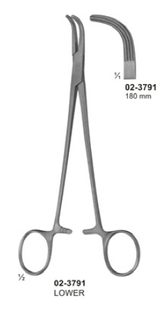 Dissecting - and Ligature Forceps