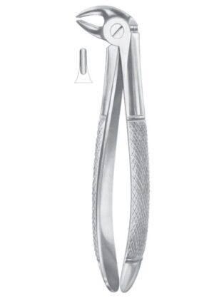 Fig. 13S lower premolars for children