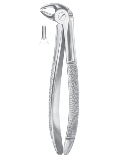 Fig. 13S lower premolars for children
