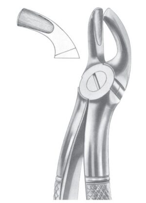 Fig. 19 upper third molars