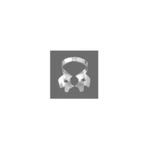 Upper Molars